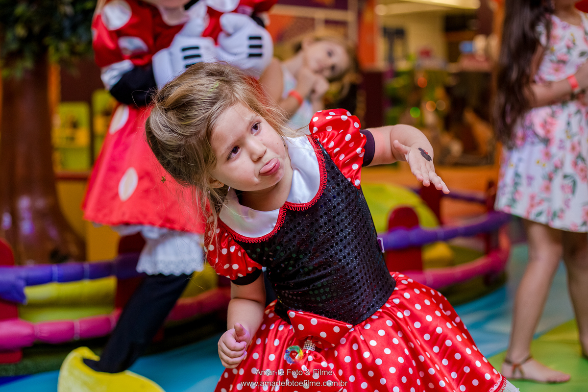 festa infantil mickey minnie decoração tema ideia poses familia fotografo de festas rj rio de janeiro