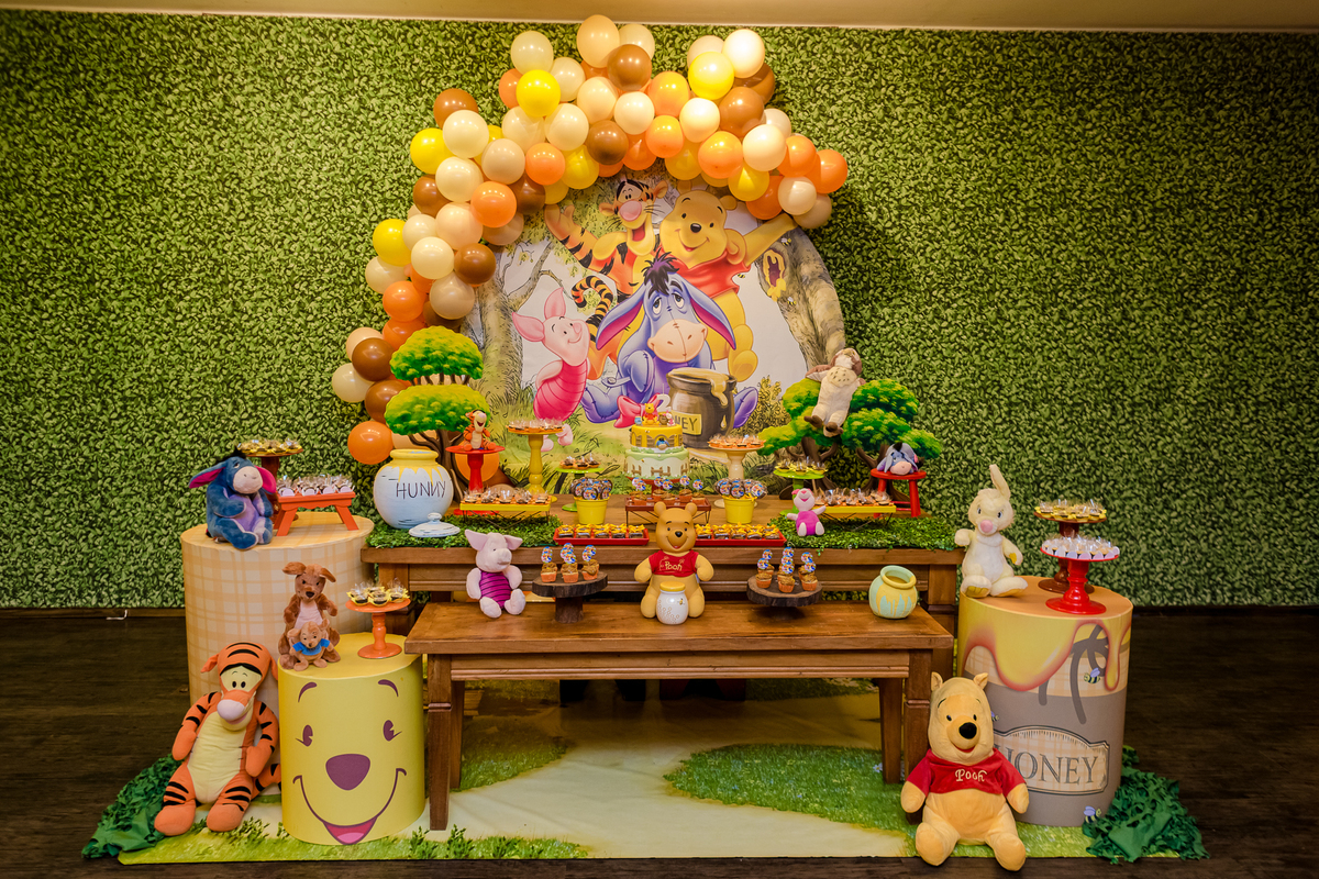 festa infantil decoraçao ursinho pooh tema kids park barra da tijuca rio de janeiro fotografo festa infantil infantis fotos poses