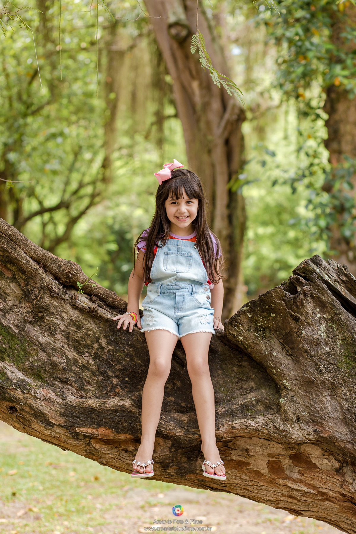 festa infantil ariel pequena sereia quinta da boa vista rio de janeiro rj