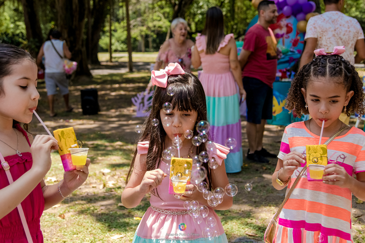 festa infantil ariel pequena sereia quinta da boa vista rio de janeiro rj