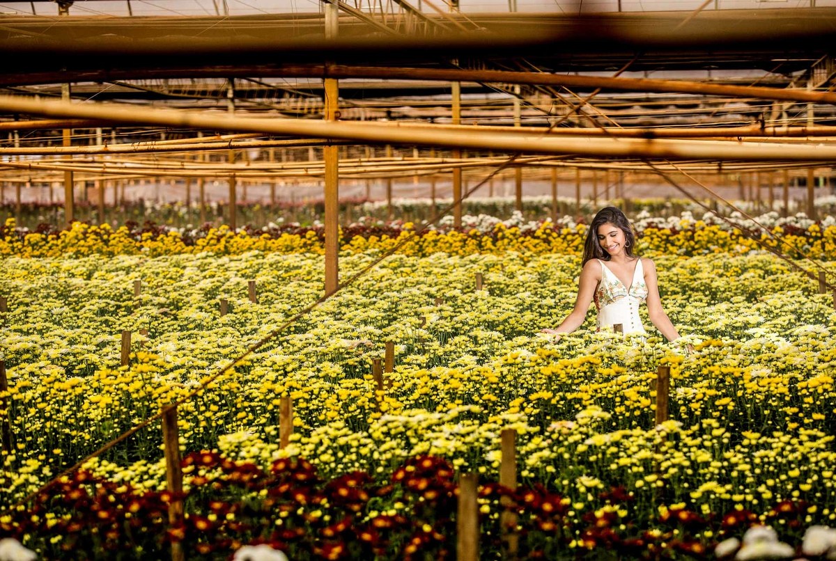 Fotógrafo profissional para ensaio de debutante
