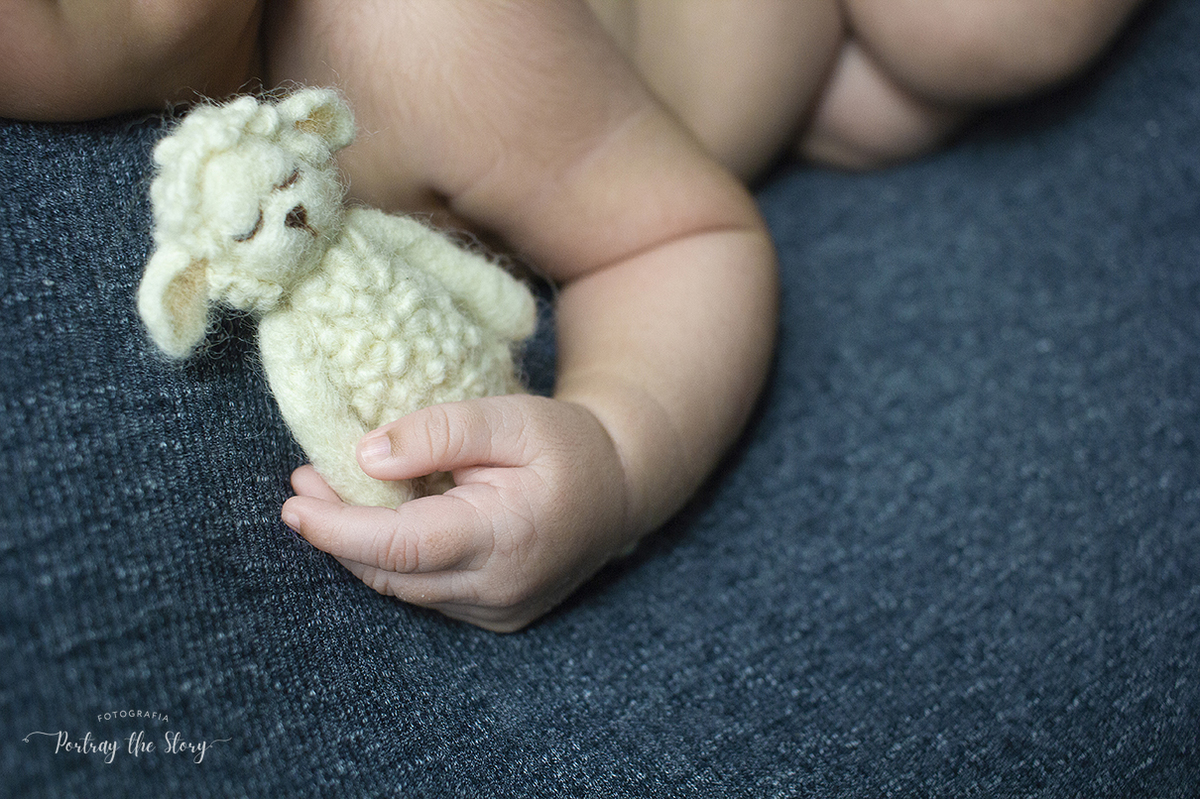 ensaio newborn de bebe menino - mauá - sp 