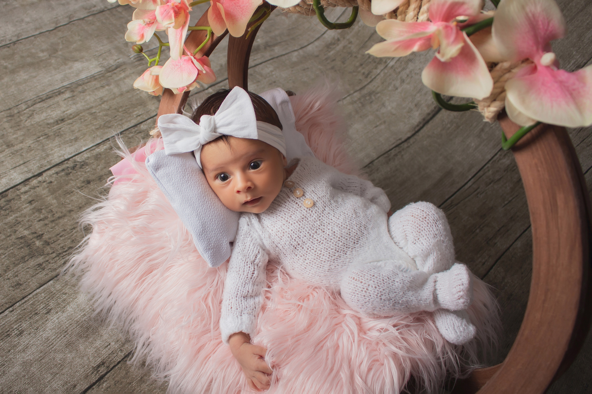 Daieli Freitas Limeira SP ensaio newborn