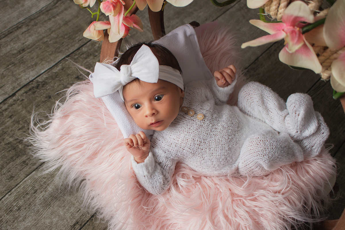 Daieli Freitas Limeira SP ensaio newborn