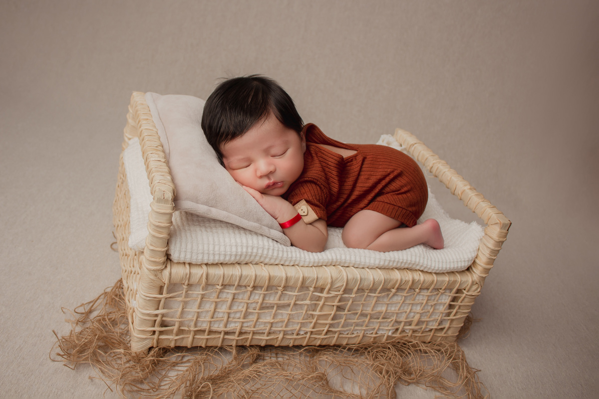 Ensaio Newborn Daieli Freitas Limeira SP