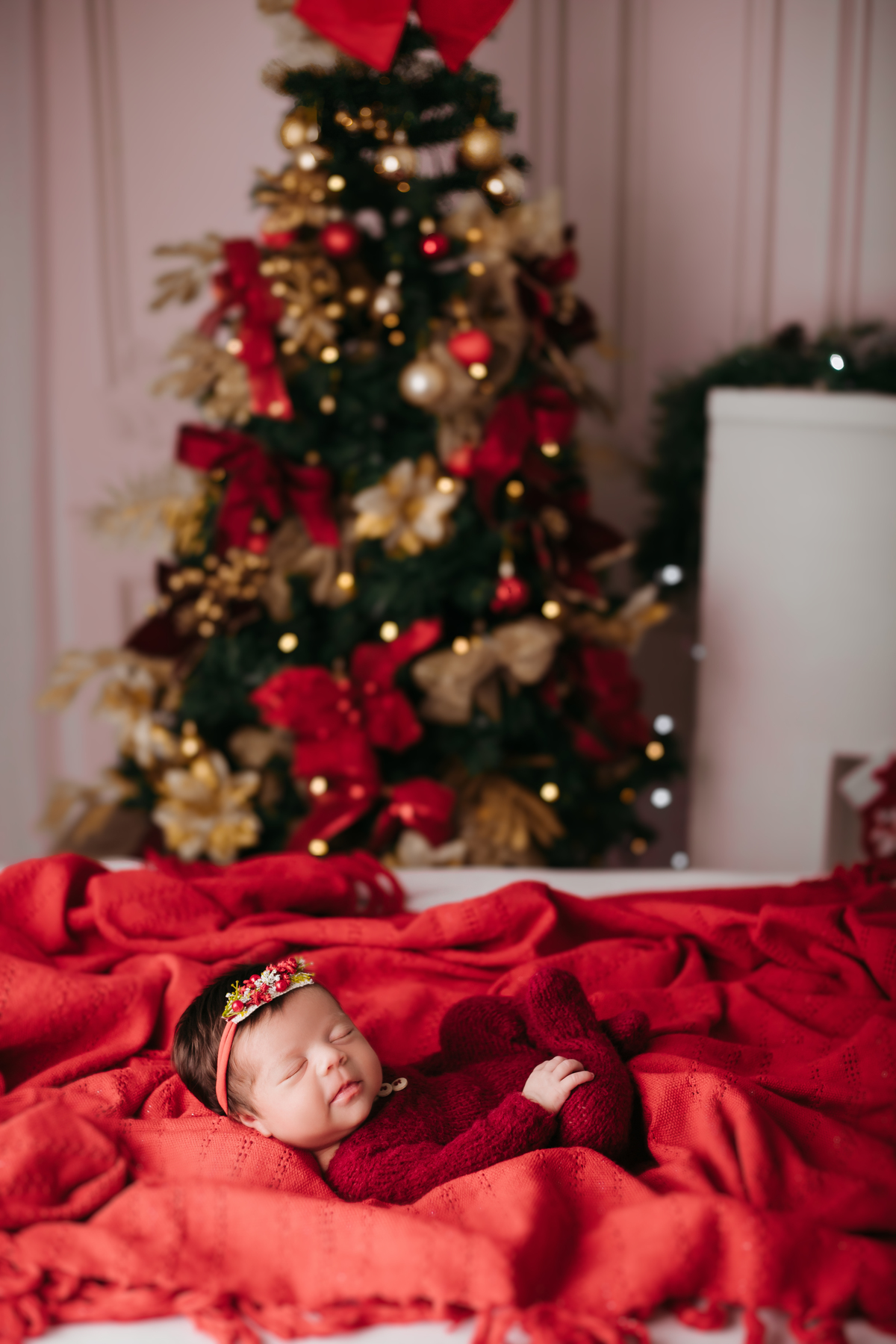 daieli freitas fotografia limeira sp