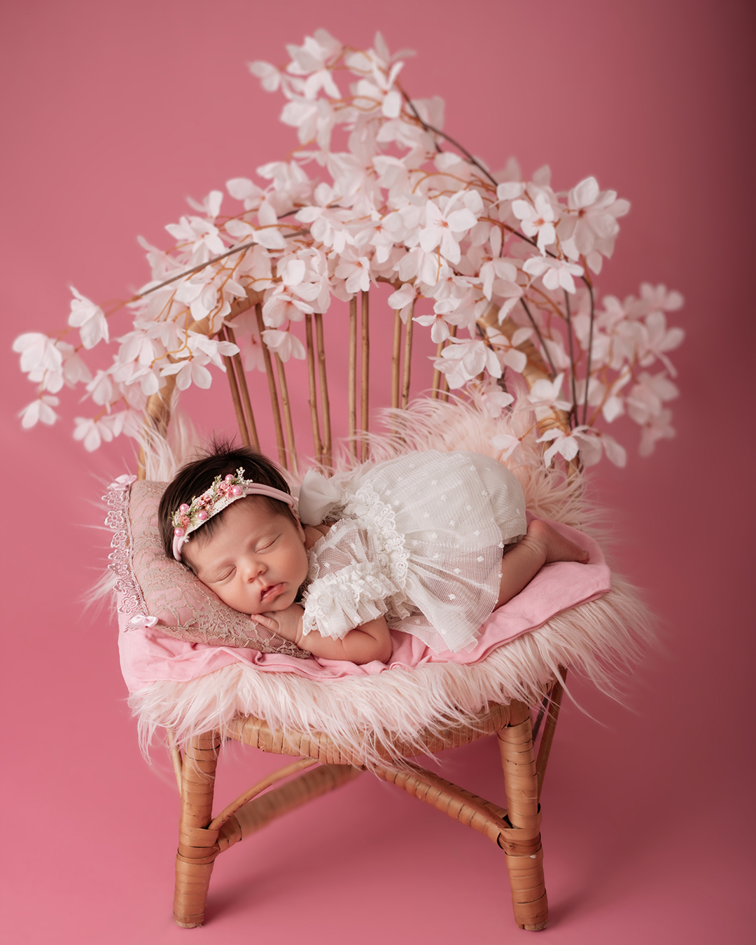 daieli freitas fotografia limeira sp