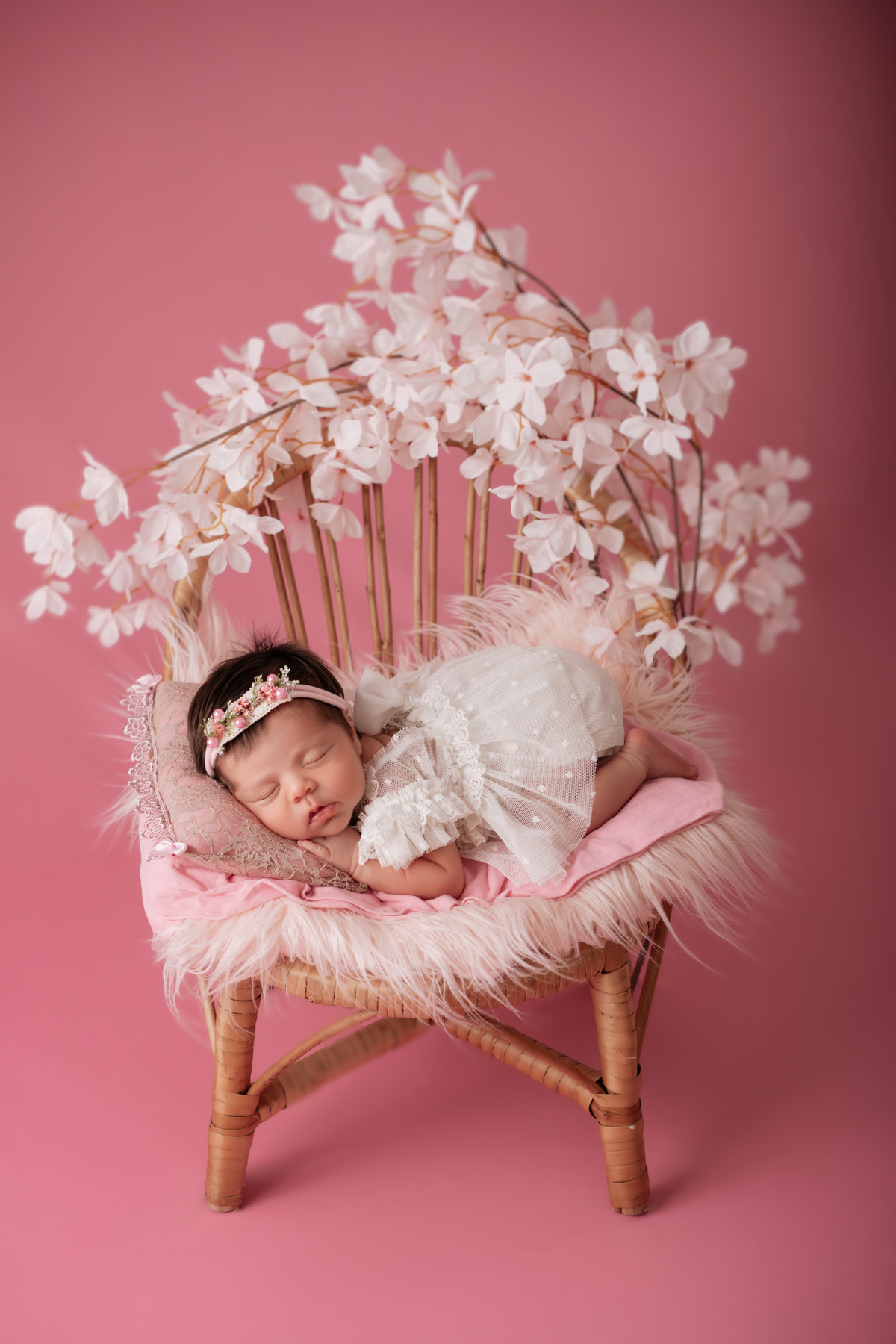 daieli freitas fotografia limeira sp