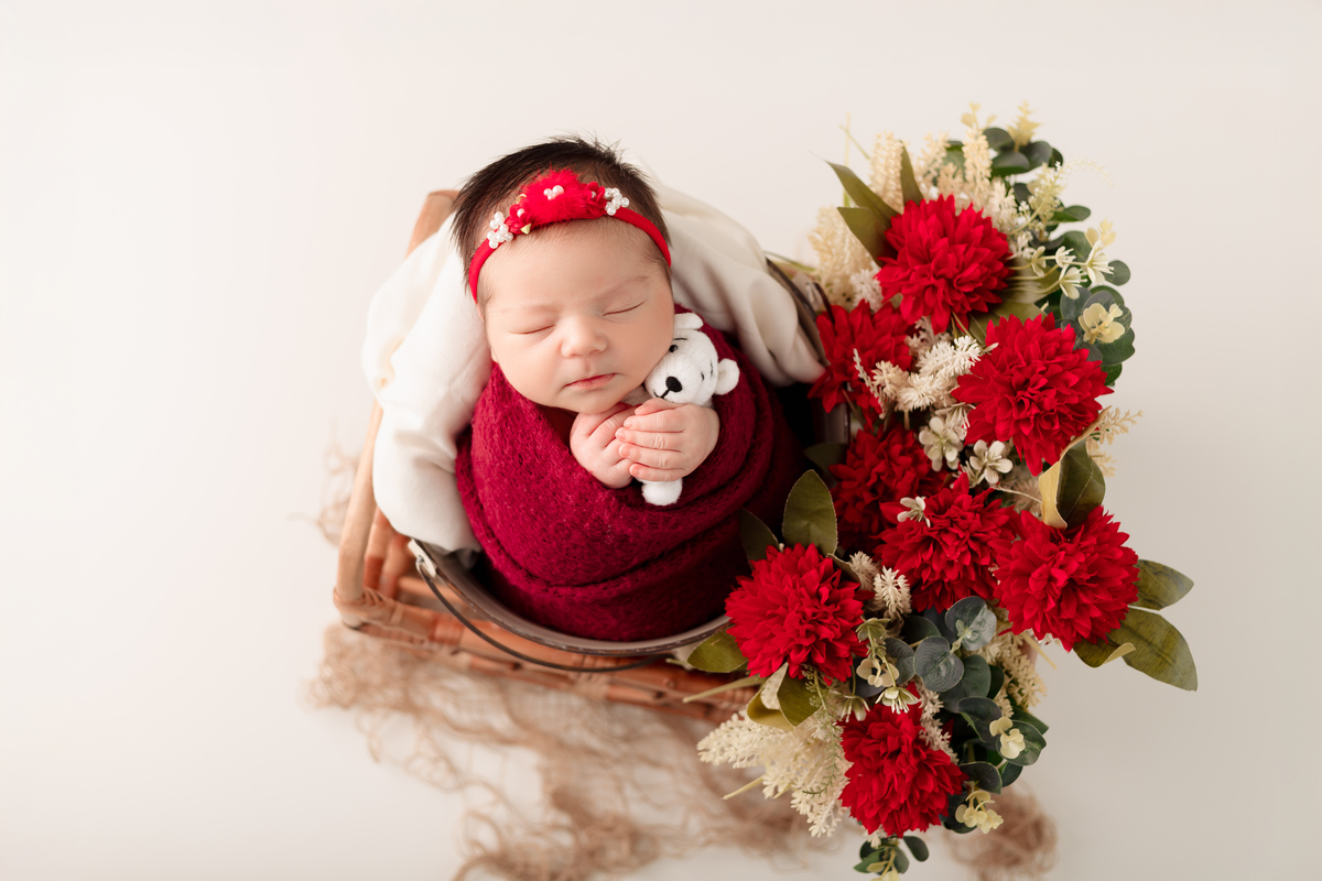 Ensaio newborn Daieli Freitas fotografia Limeira SP