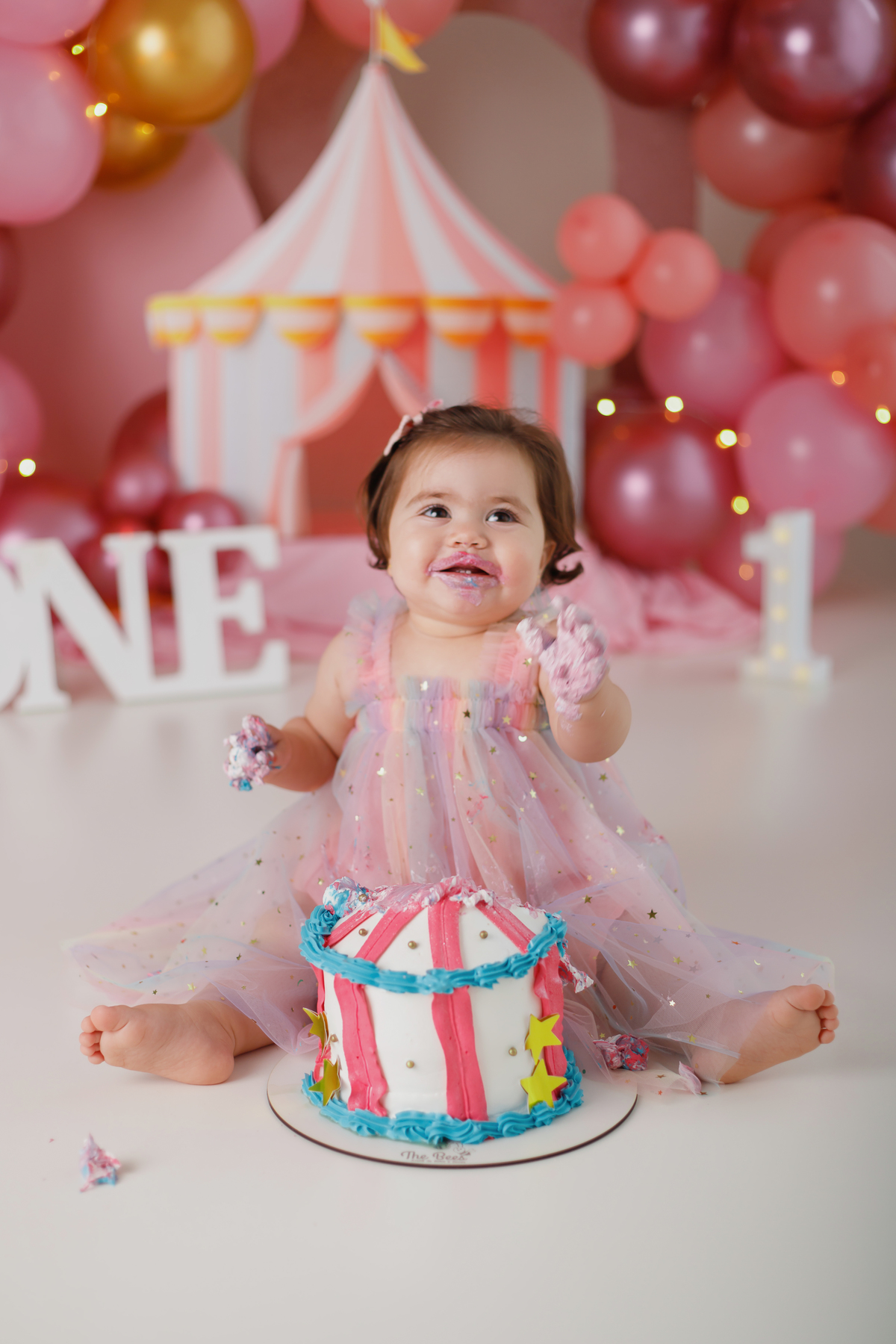 Smash the cake Daieli Freitas fotografia Limeira SP