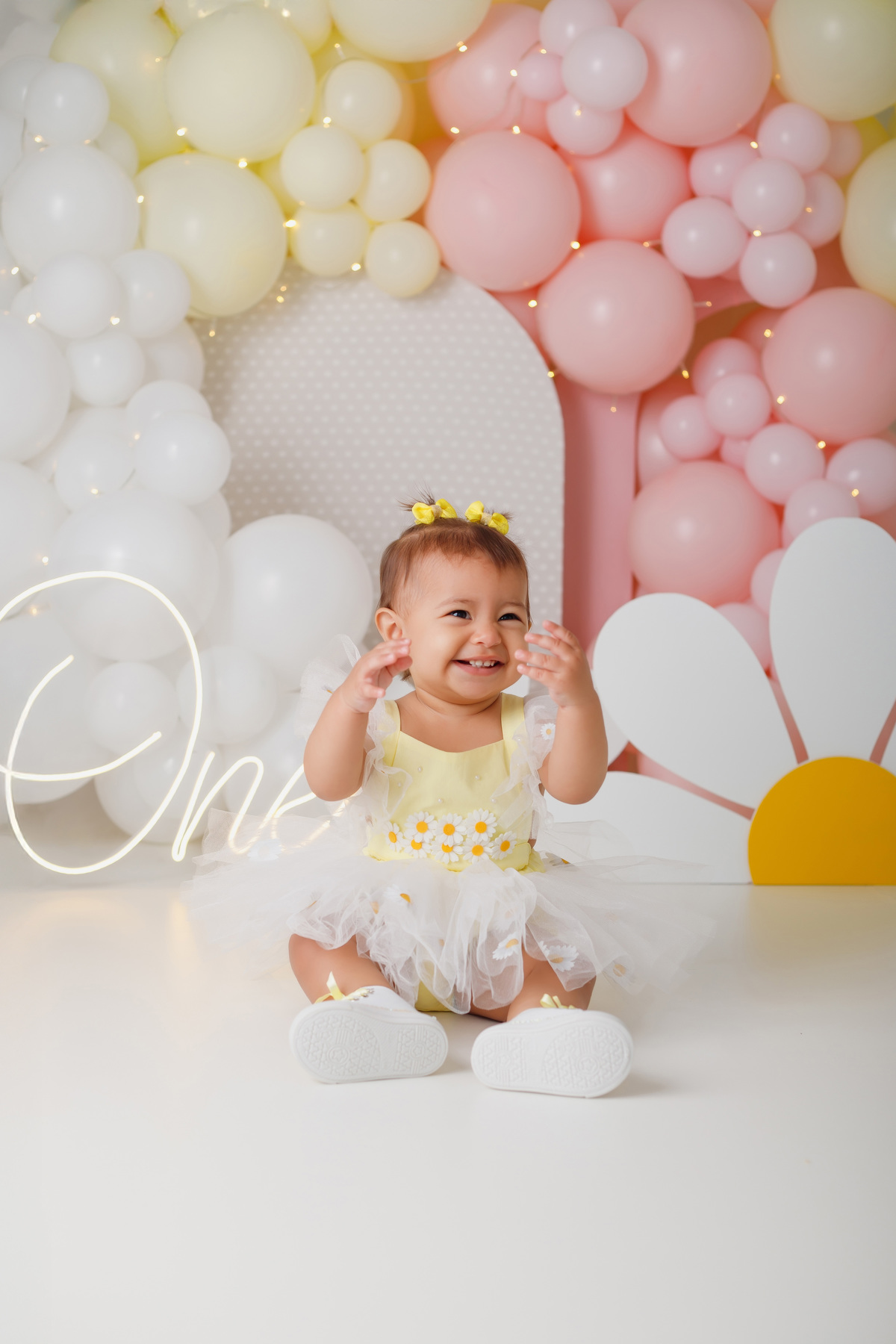 Smash the cake Daieli Freitas fotografia Limeira SP