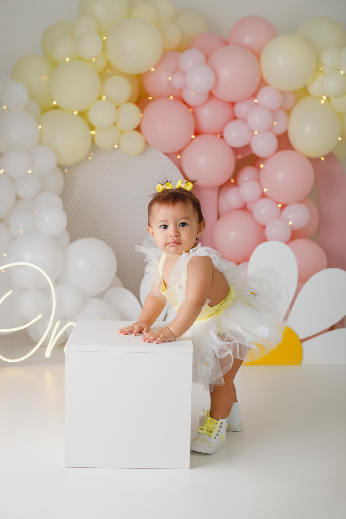 Smash the cake Daieli Freitas fotografia Limeira SP