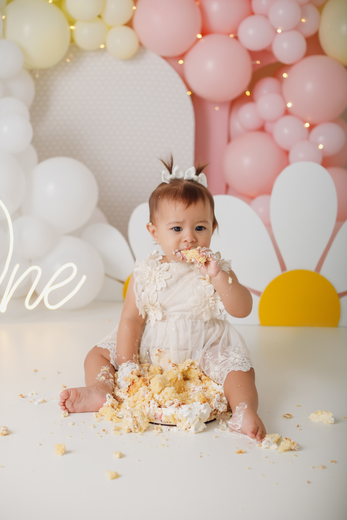 Smash the cake Daieli Freitas fotografia Limeira SP