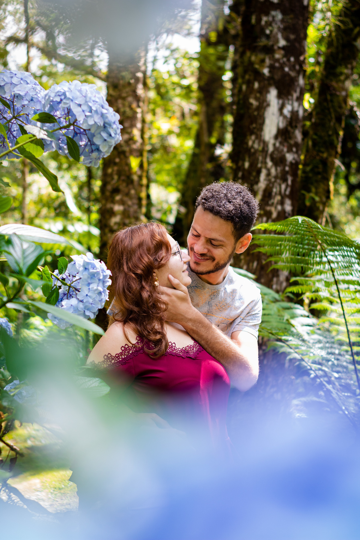 Bosque o Silencio em Campos o Jordão 