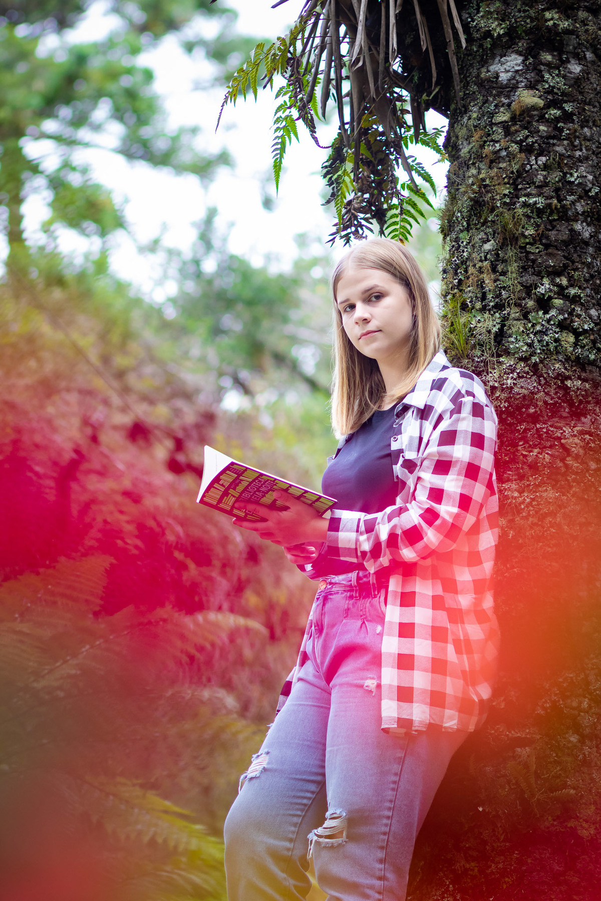 Ensaio 15 anos 
  Bosque do Silencio -  Campos do Jordão