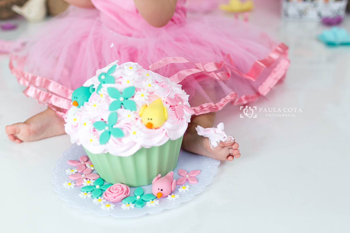 Smash_the_cake_BH_jardim_encantado_smash_menina_Karina