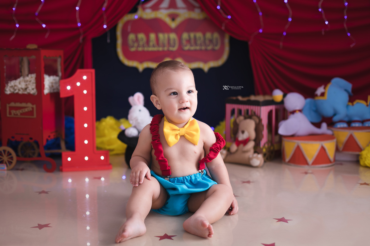 smash_cake_circo acompanhamento_bebe