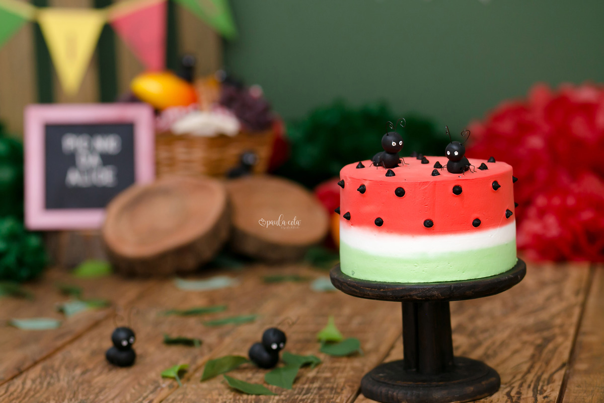 Smash_the_cake_BH_picnic_piquinique_smash_menina_Alice