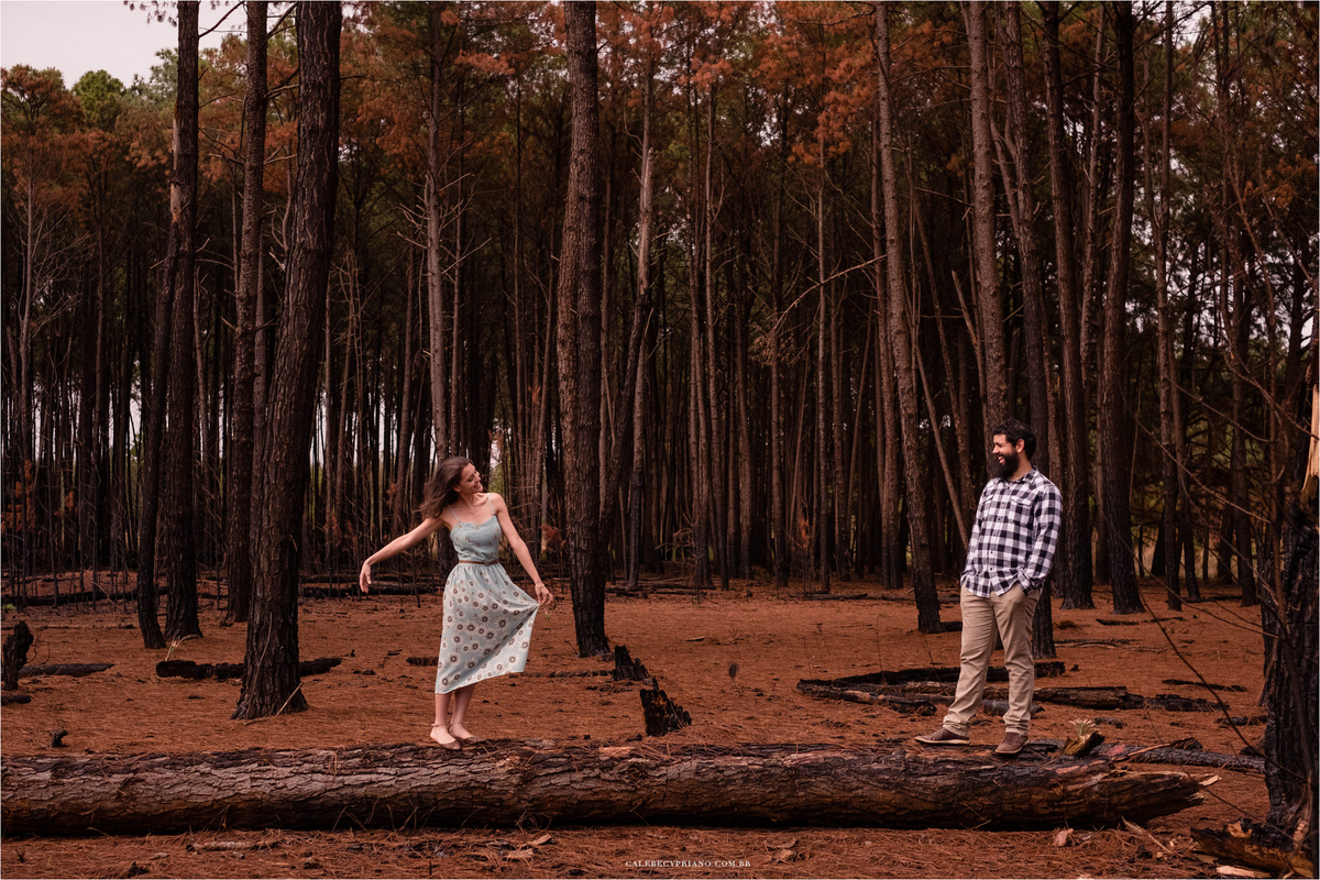 ensaio do casal nos pinheiros queimados com Calebe Cypriano 