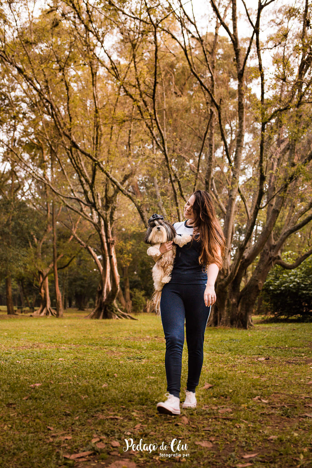 Ensaio Pet Shihtzu Parque Ibirapuera - SP