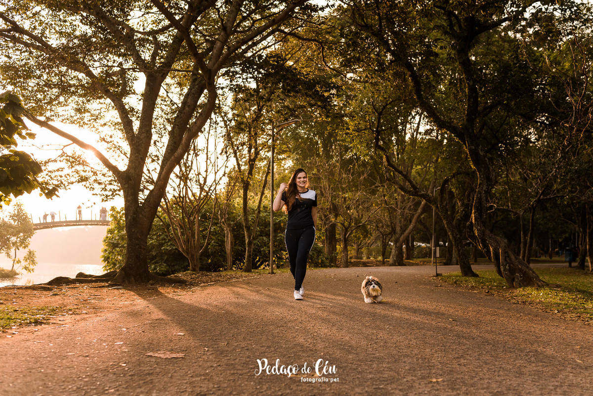 Ensaio Pet Shihtzu Parque Ibirapuera - SP