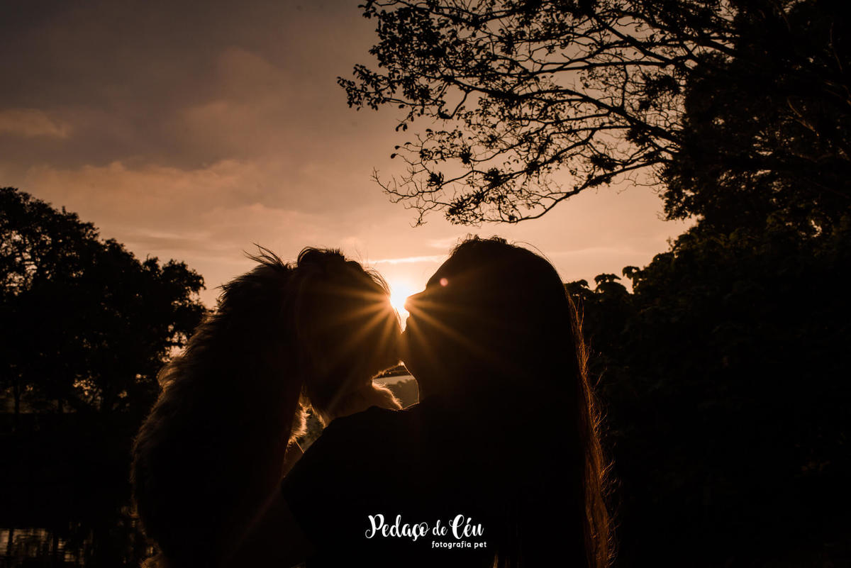 Ensaio Pet Shihtzu Parque Ibirapuera - SP