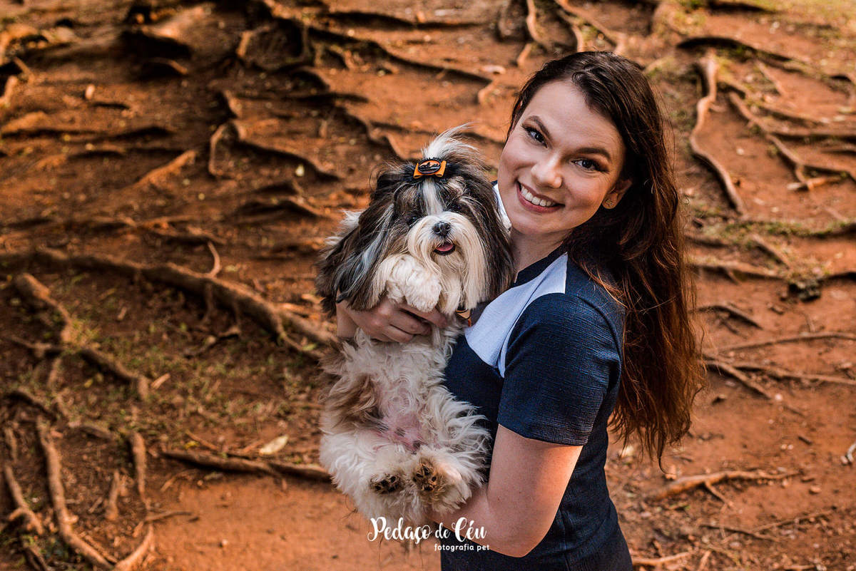 Ensaio Pet Shihtzu Parque Ibirapuera - SP