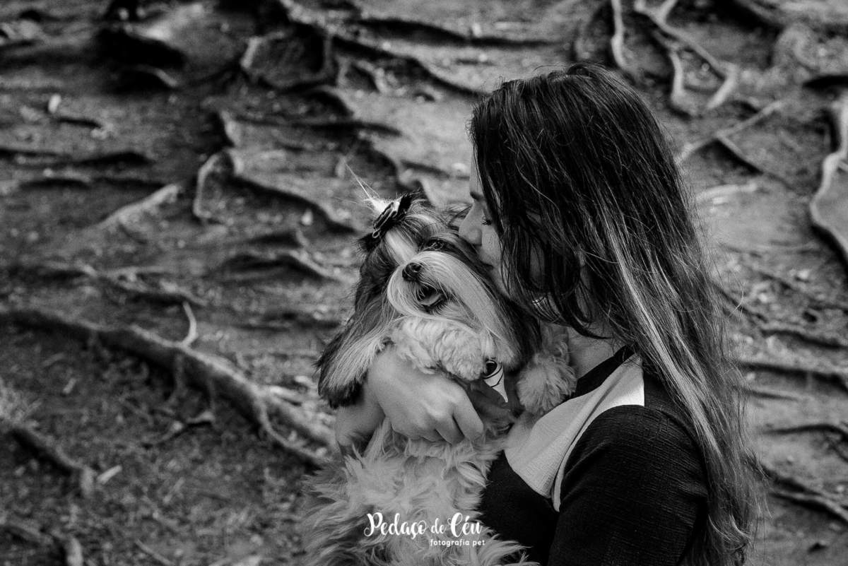 Ensaio Pet Shihtzu Parque Ibirapuera - SP