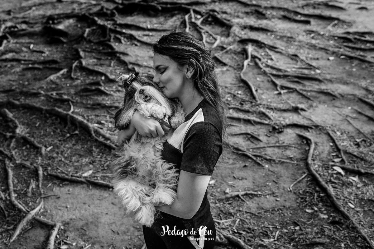 Ensaio Pet Shihtzu Parque Ibirapuera - SP