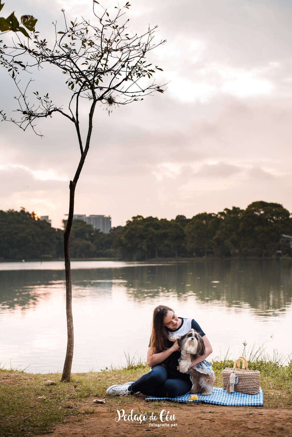 Ensaio Pet Shihtzu Parque Ibirapuera - SP