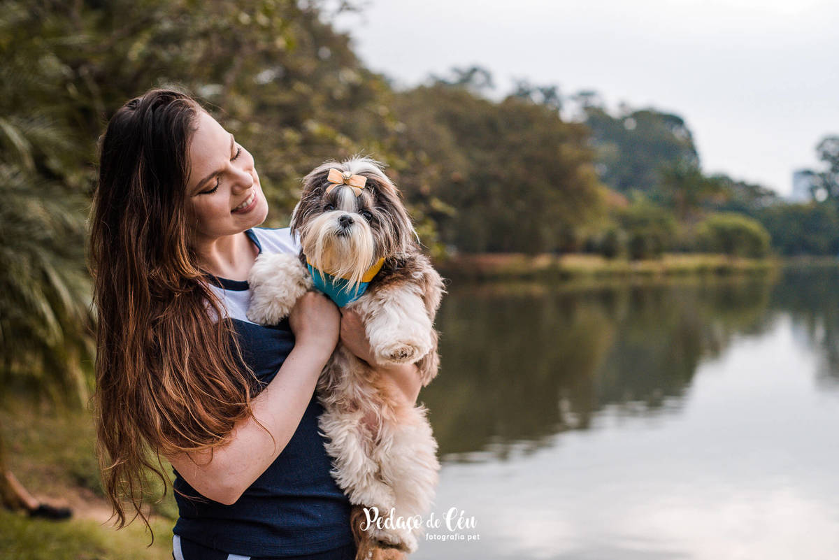 Ensaio Pet Shihtzu Parque Ibirapuera - SP