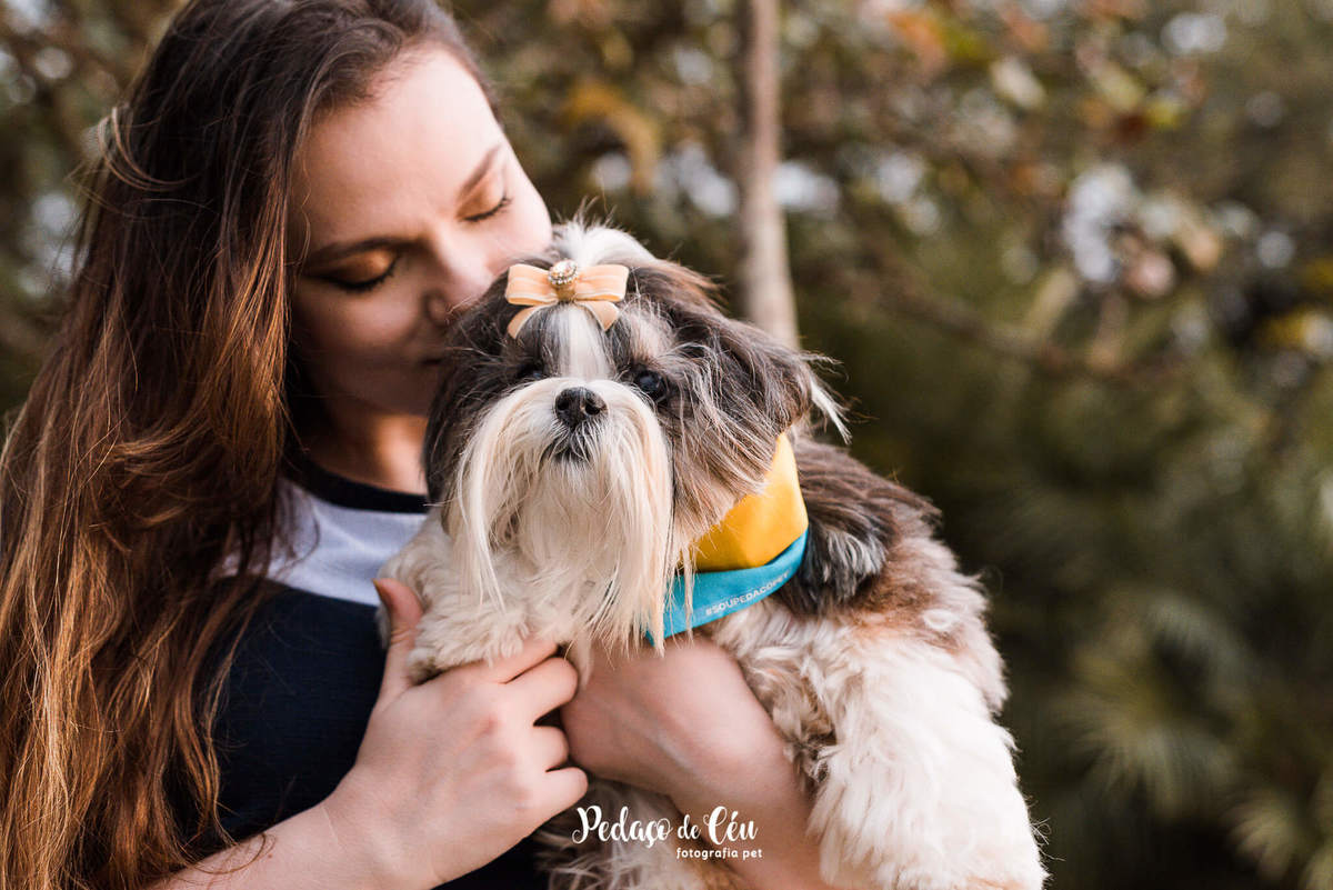 Ensaio Pet Shihtzu Parque Ibirapuera - SP
