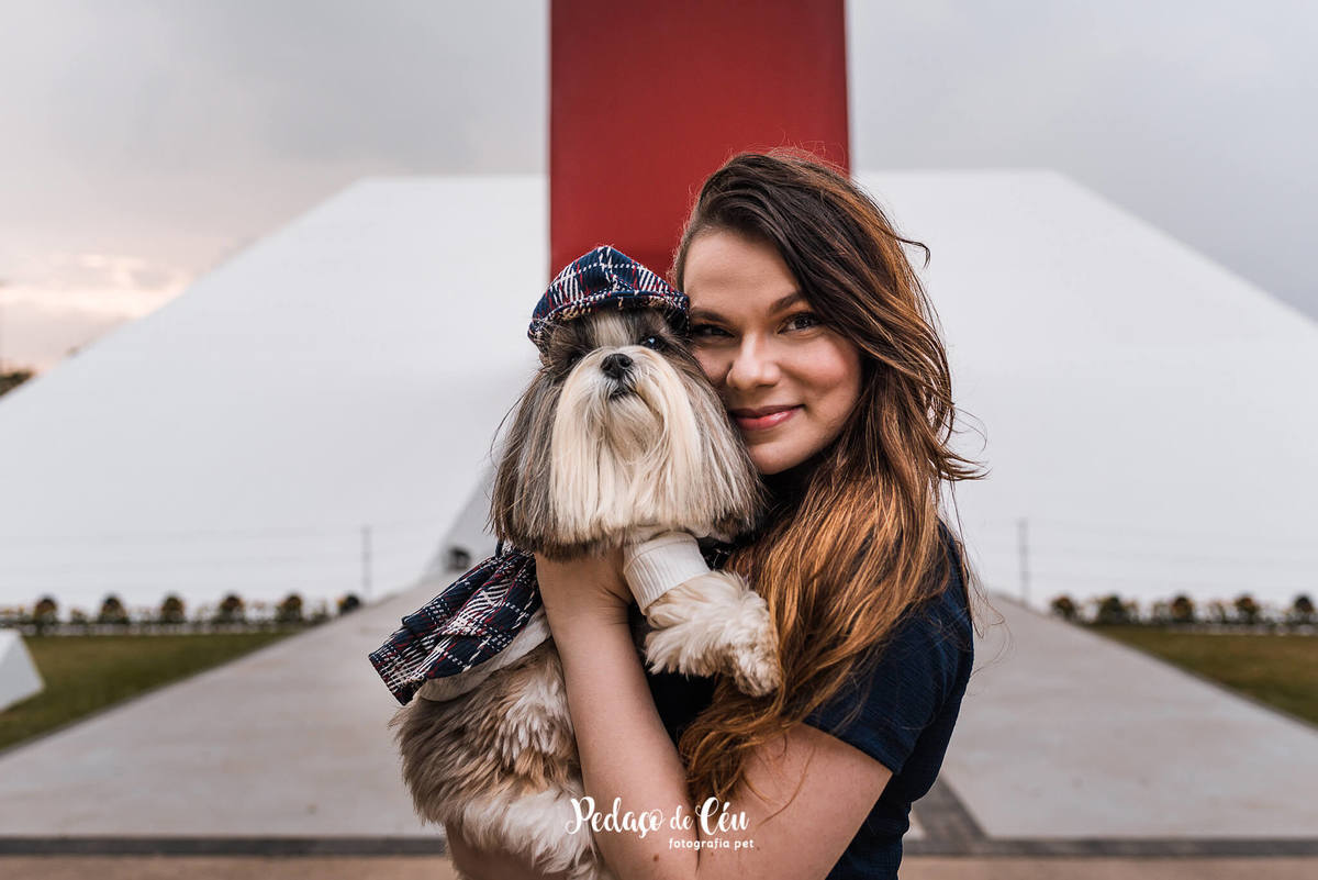 Ensaio Pet Shihtzu Parque Ibirapuera - SP