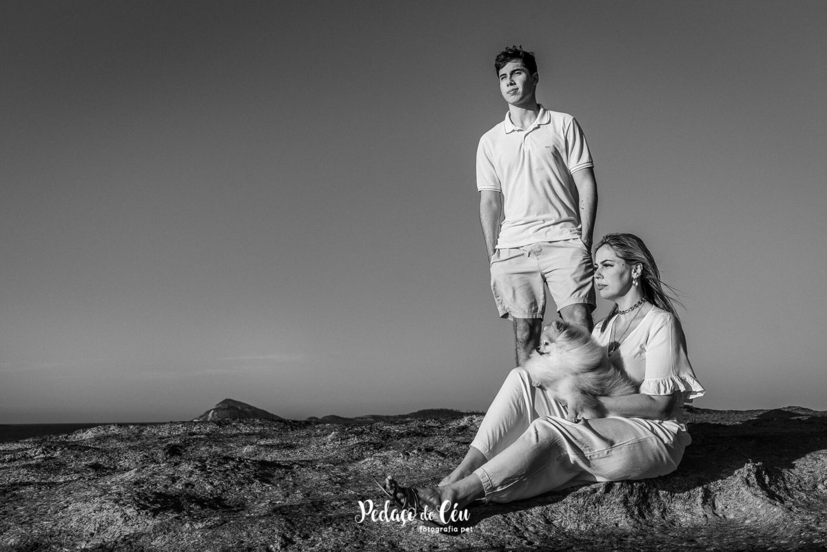 Ensaio Pet Spitz Arpoador Rio de Janeiro