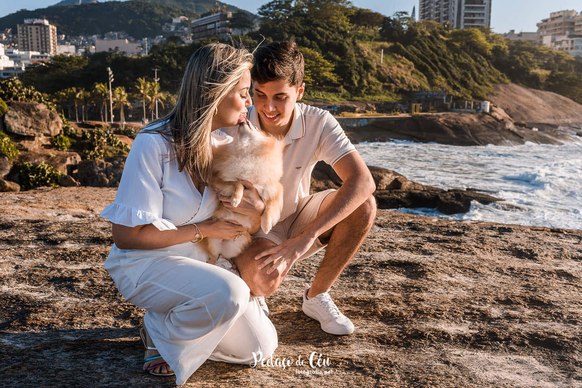 Ensaio Pet Spitz Arpoador Rio de Janeiro