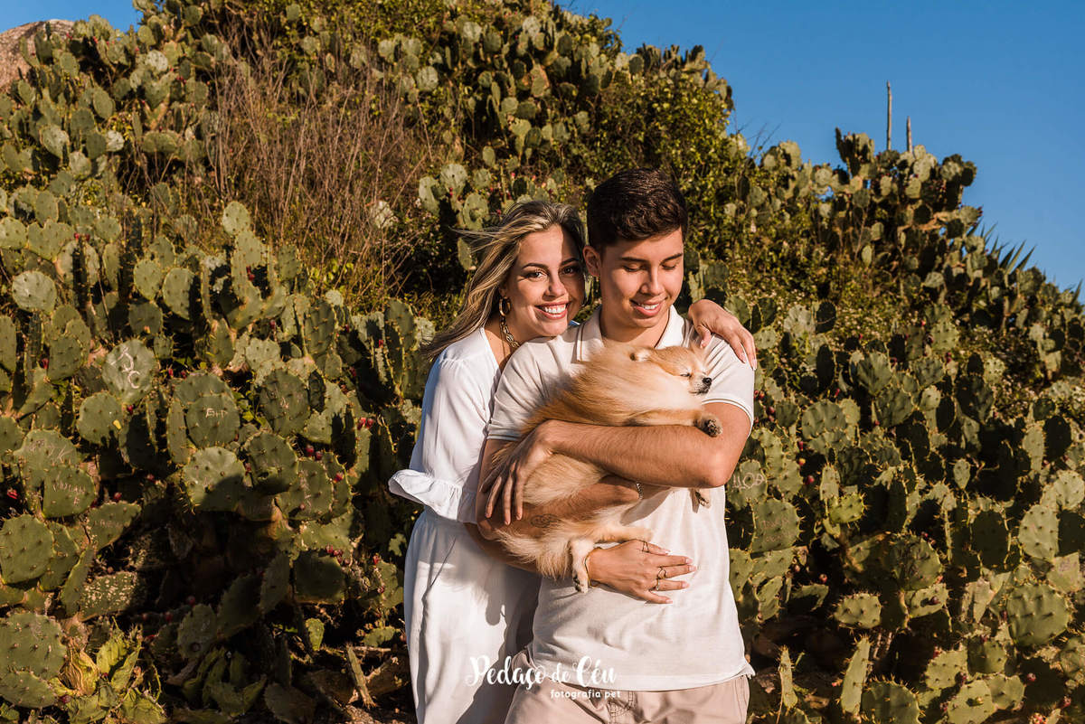 Ensaio Pet Spitz Arpoador Rio de Janeiro