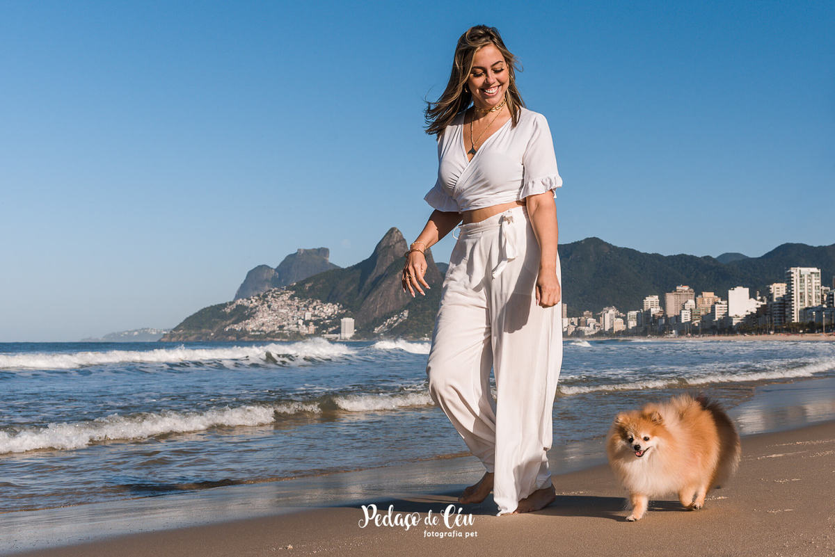 Ensaio Pet Spitz praia Ipanema Rio de Janeiro