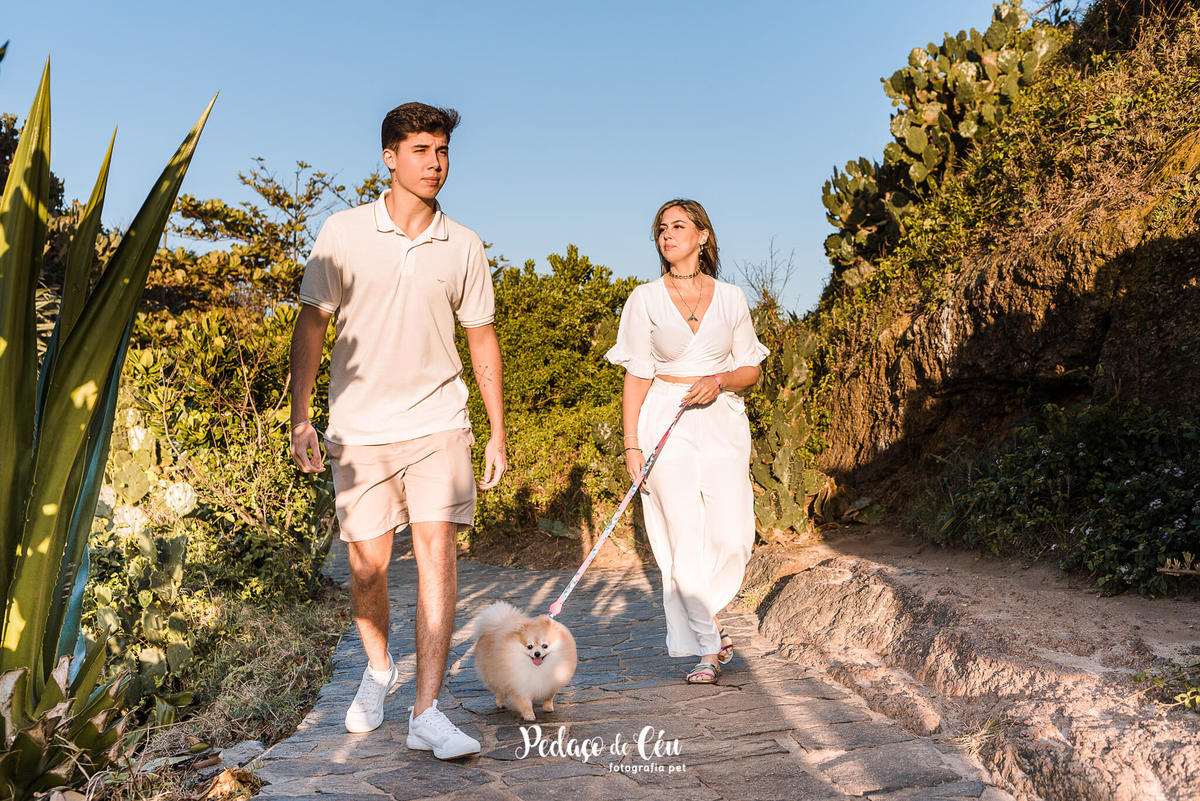 Ensaio Pet Spitz Arpoador Rio de Janeiro