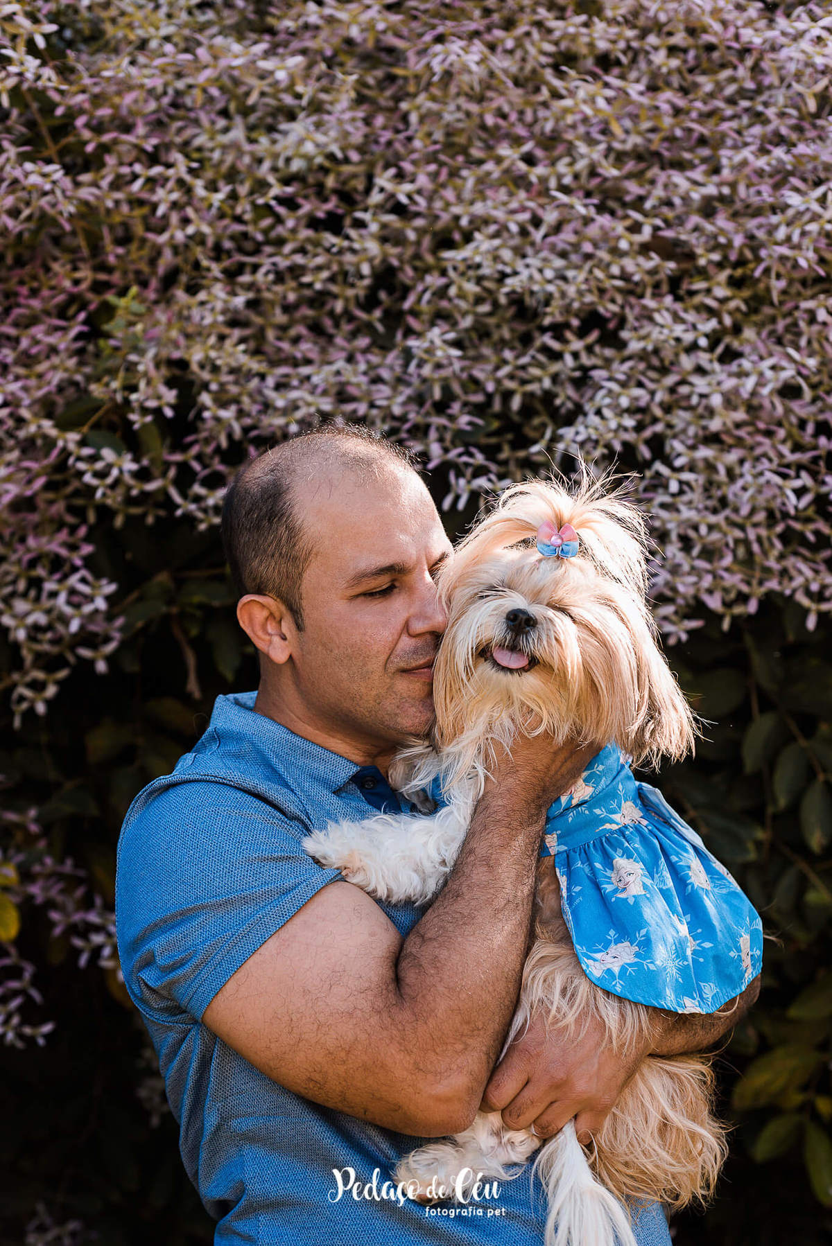 ensaio pet shihtzu com família