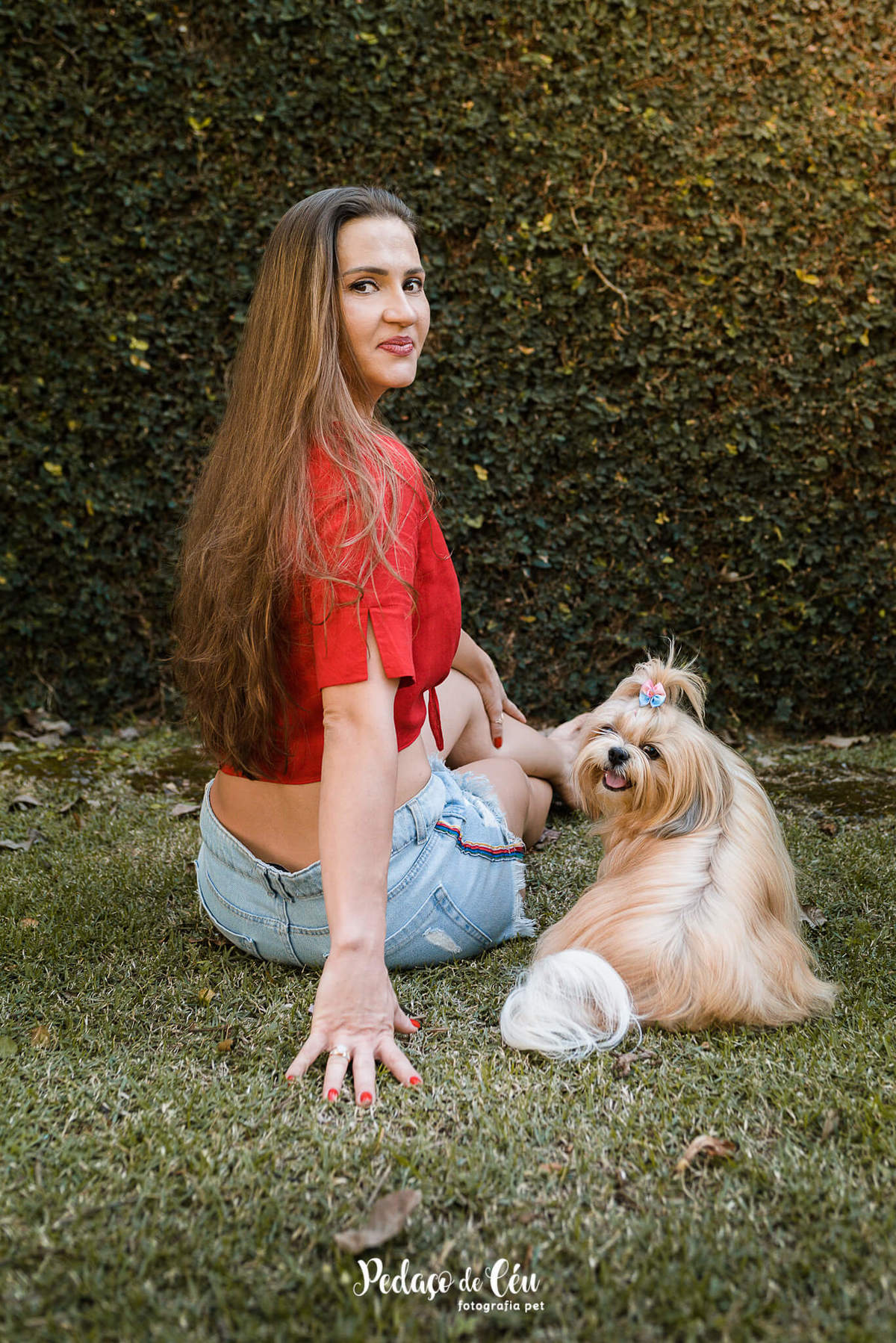 ensaio pet shihtzu com família rio de janeiro