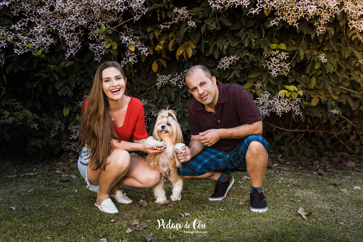 ensaio pet shihtzu com família rio de janeiro
