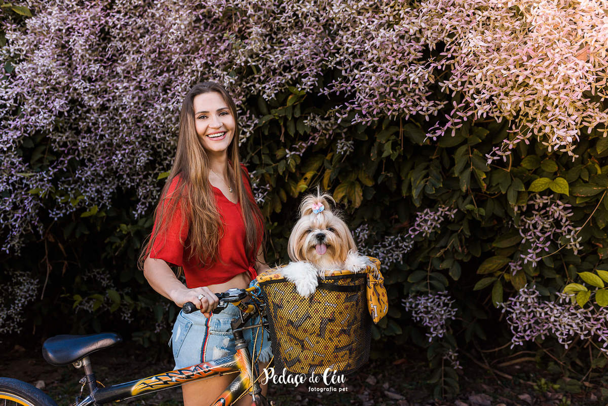 ensaio pet shihtzu com família