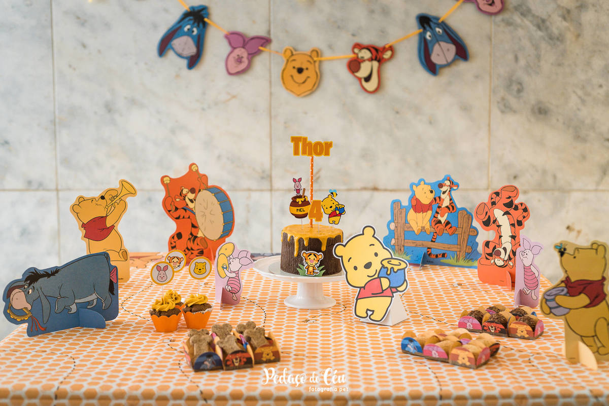 Fotografia Festa Pet em casa Golden Retriever Rio de Janeiro