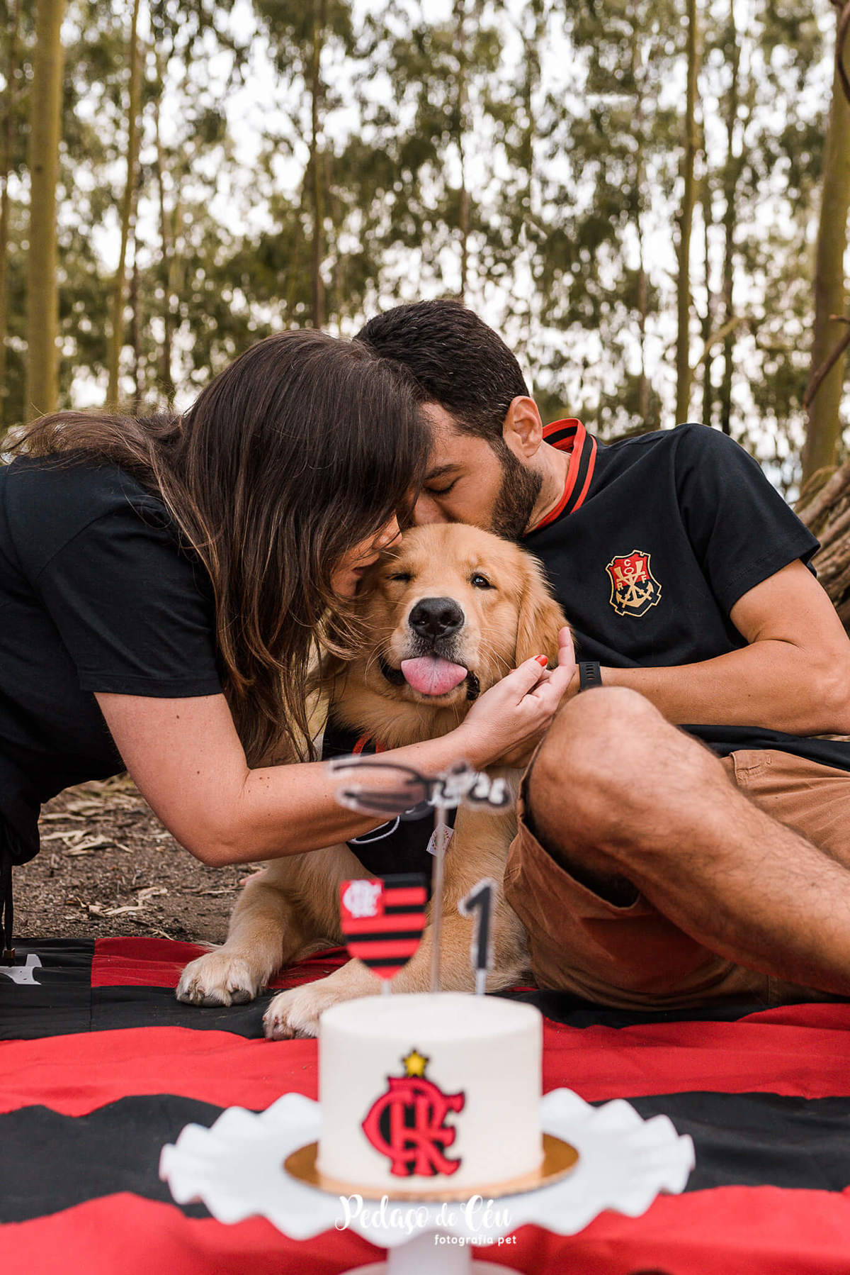 Smash the Cake Pet Golden Retriever - Niterói - Rio de Janeiro