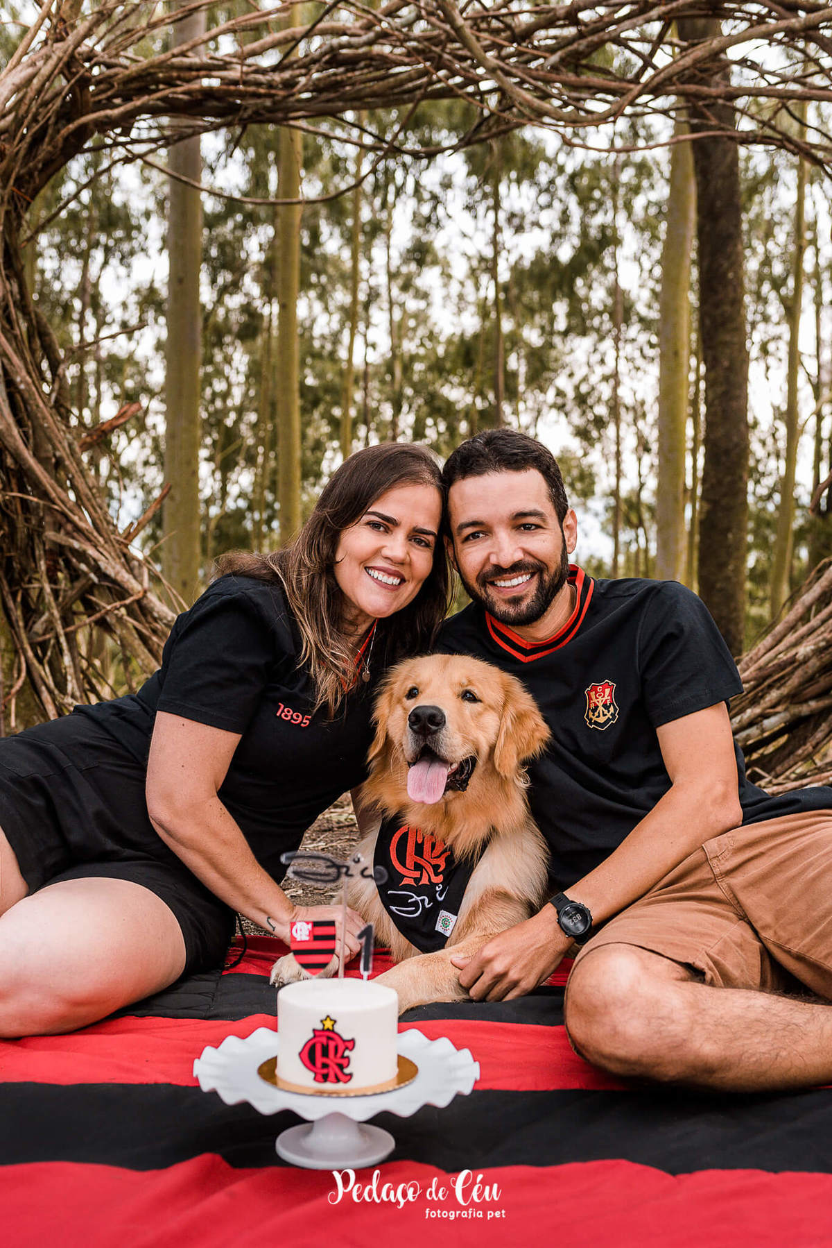 Smash the Cake Pet Golden Retriever - Niterói - Rio de Janeiro