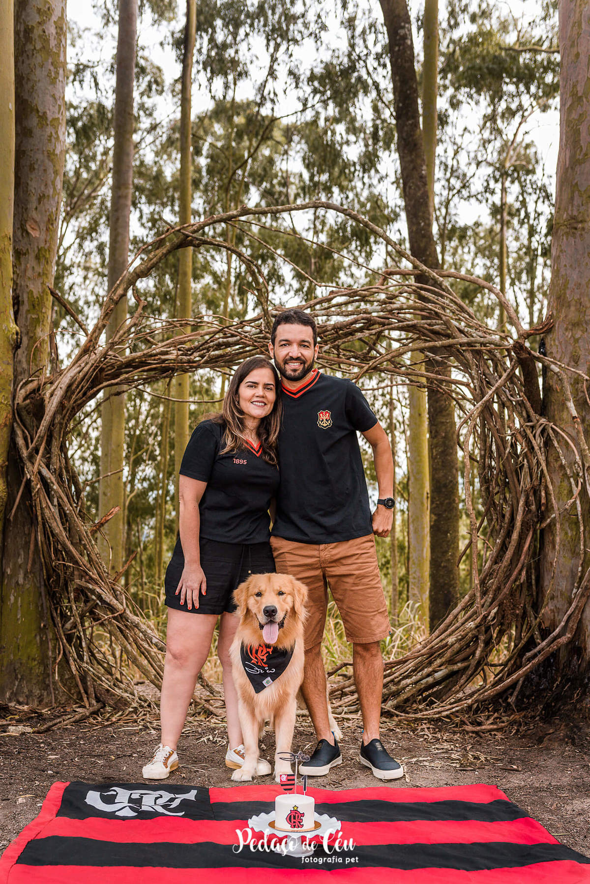 Smash the Cake Pet Golden Retriever - Niterói - Rio de Janeiro