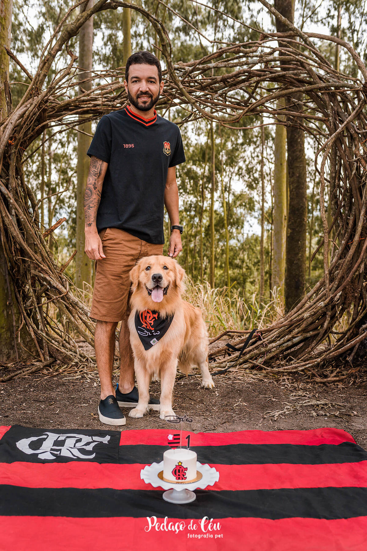 Smash the Cake Pet Golden Retriever - Niterói - Rio de Janeiro