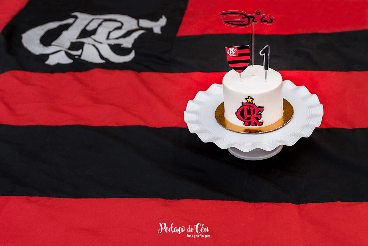 Smash the Cake Pet Golden Retriever - Niterói - Rio de Janeiro