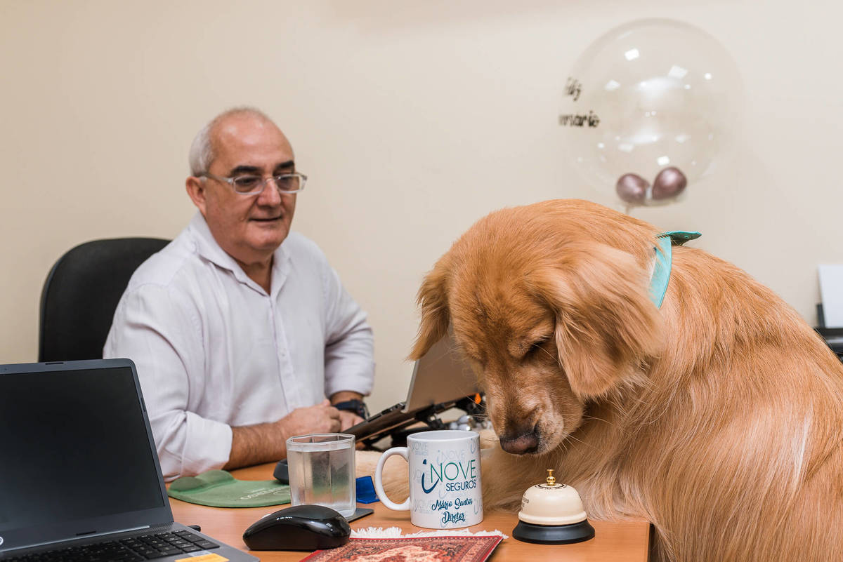 Fotos para marca pet friendly de seguros Rio de Janeiro