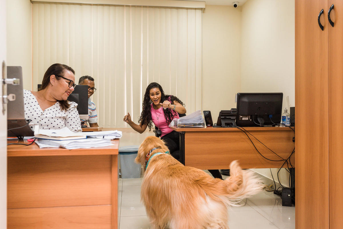 Fotos para marca pet friendly de seguros Rio de Janeiro